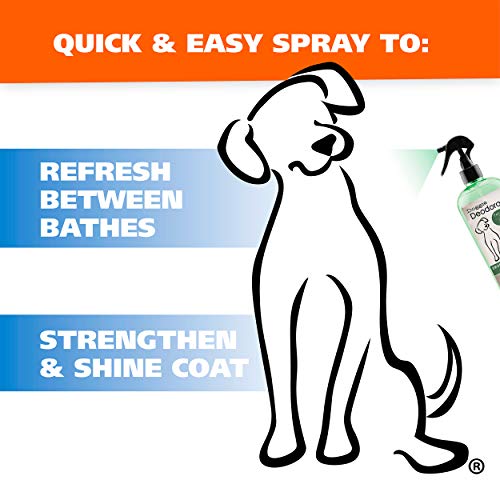 image for Wahl USA Deodorizing & Refreshing Pet Deodorant for Dogs - Eucalyptus 