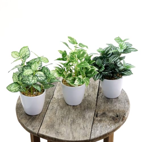 bԃhbgR tFCNO[ |bguq|GXeXE|gXEyy~A TfV[ 3_Zbgv8434