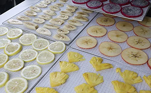 Image of BPA-Free Silicone Dehydrator Sheet for Dehydrator Tray, 15.5x15.5in 10-pack | Non-stick Dehydrator Tray Liners Help Stop Dried Food From Sticking, Lift Food Intact, and Cut Cleanup Time - Dishwasher Safe