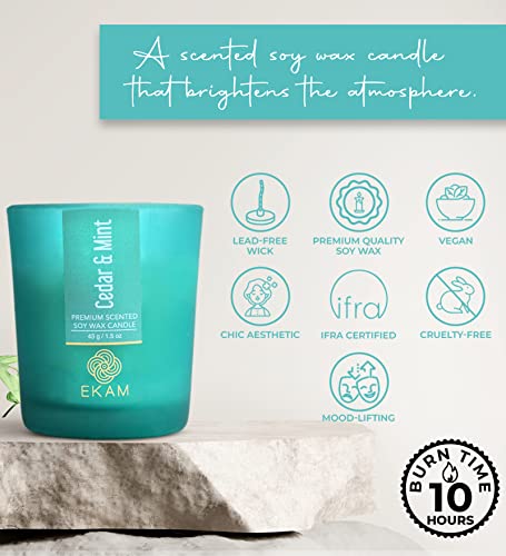 Image of EKAM Cedar & Mint Votive Soy Wax Scented Candle, 40 Grams, 10 Hours Burn Time| Long Lasting Premium Candles | Ideal for Home Decor | Gifting & Aromatherapy (Pack of 12)