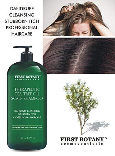 Tea Tree Oil Shampoo 16 fl oz - Anti Dandruff Shampoo Natural Essential Oil For Dry Itchy & Flaky Scalp - Sulfate Free, Anti-fungal, Anti-Bacterial Cleanser - Prevents Head Lice & Thinning