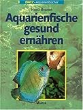 aquarium fische füttern  Aquarienfische gesund ernähren