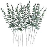 Photo Gallery pretyzoom set di piante artificiali di eucalipto alte 38 cm rami verdi decorazioni vegetali finte per la casa Photo Gallery pretyzoom set di piante artificiali di eucalipto alte 38 cm rami verdi decorazioni vegetali finte per la casa