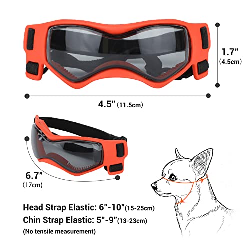 Lunettes pour petit chien contre le vent pour protéger ses yeux - 8