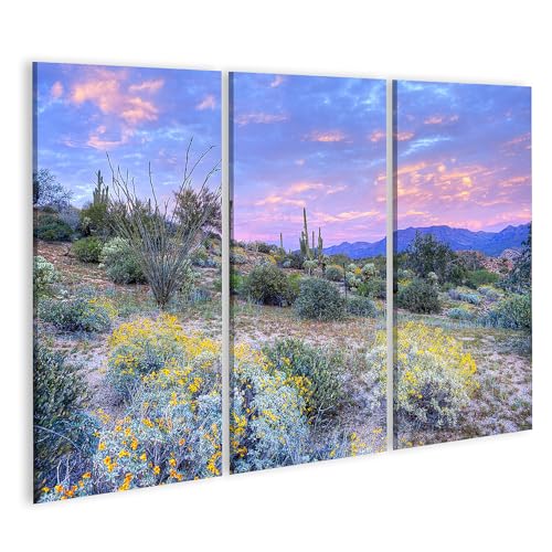 Tableau sur toile de décoration murale pour salon paysage désertique 3 pièces