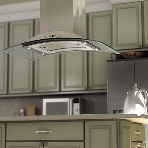 Z Line Gl9I-30 Stainless Steel And Glass Island Mount Range Hood, 30-Inch #TOP4