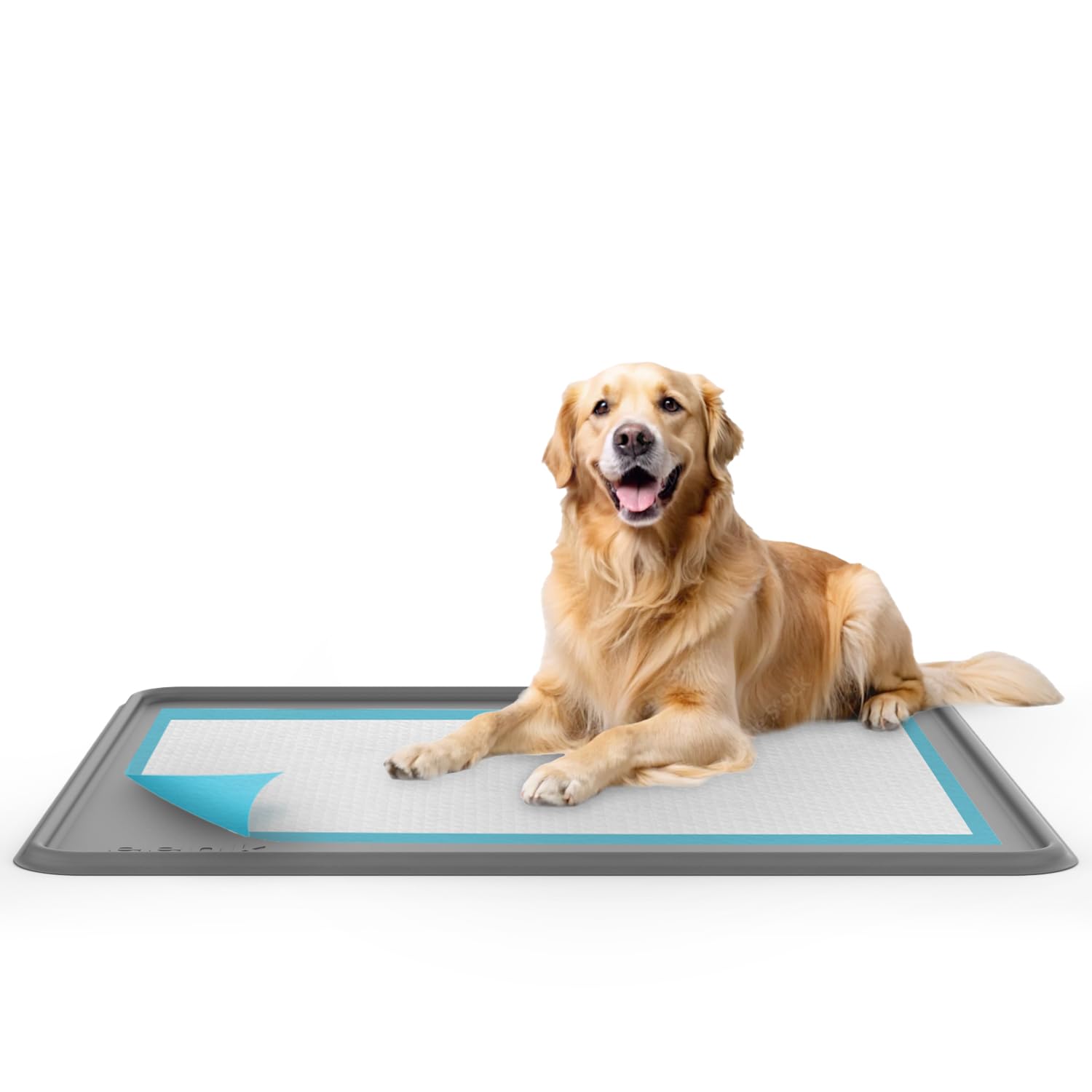 Dog Training Pad Silicone Tray - 35 x 28 in. No Spill Raised Lip High Edge Mat Holder, Extra Thick and Non-Slip for Indoor Floor Protection, Universal Fit Potty Training Pads (XL, Gray) | eenk