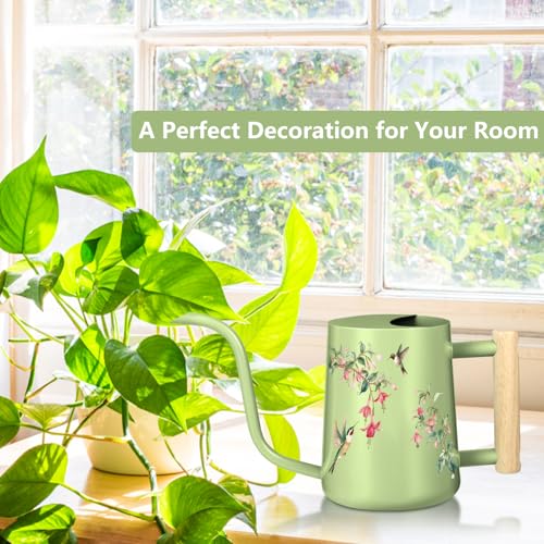 Image of Watering Can Indoor Plants, 35oz Small Stainless Steel Metal Watering Can Modern Decorative Watering Pot with Long Spout for Indoor House Plant Bonsai Garden Flowers (Saga Green 2)