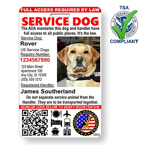 dog online registration