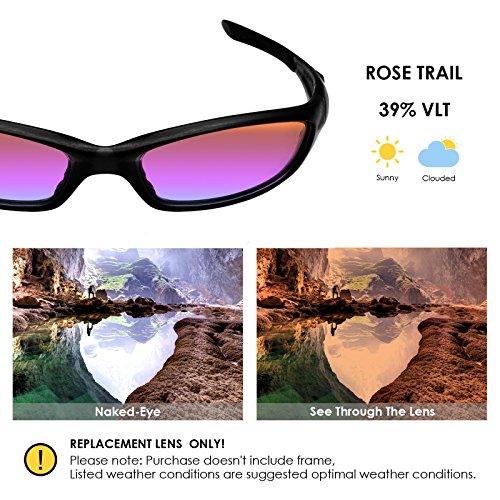 Image of BLAZERBUCK Anti-salt Polarized Replacement Lenses for Oakley Straight Jacket 2007 Sunglass