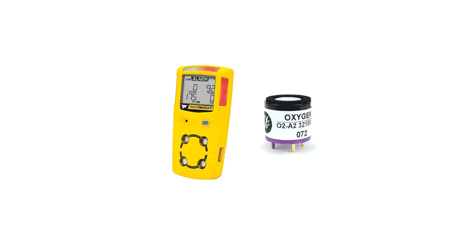 アナベルページ BERING（ベーリング） | 【11月初旬入荷予定】≪予約受付中