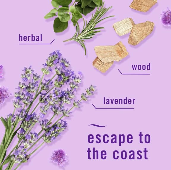 F.e.b.r.e.z.e Plug in Air Fresheners, Mediterranean Lavender, Odor Eliminator for Strong Odors, Scented Oil Refill- Pack of 1