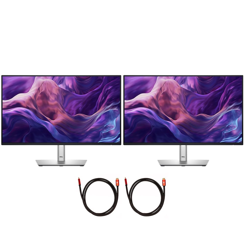 Amazon.com: Dell P2425H 24