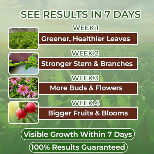 Image of SJ Organics NPK 19-19-19 Fertilizer| 5 Kg | Balanced Water-Soluble Plant Food for Growth, Flowering & Yield Boost | For All Plants