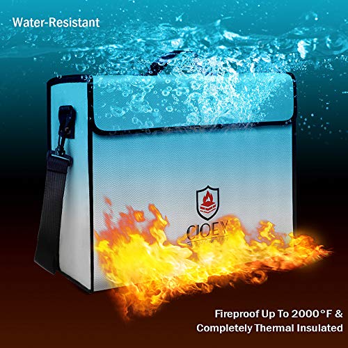 Coiey Thermal Insulated Fireproof Bag