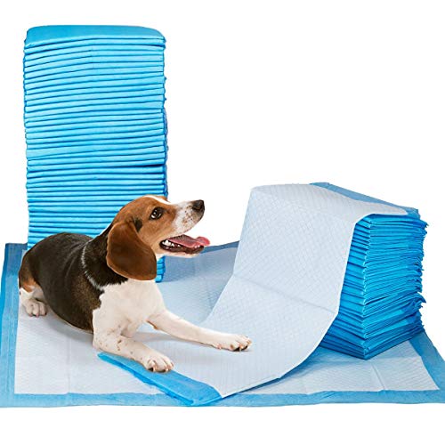 Nootie Nunbell Potty Training Pads, 450 g (10Pieces, 60 x 90 cm) (B07DJJ76J6) Amazon Price History, Amazon Price Tracker