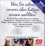 Was Sie schon immer über Katzen wissen wollten