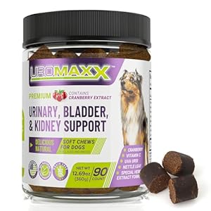 Urinary Tract Infection Treatment for Dogs, Bladder & Kidney Support Soft Chews, All Ages & Breeds, Non GMO, Made in The USA, 90 Count, 1 Pack