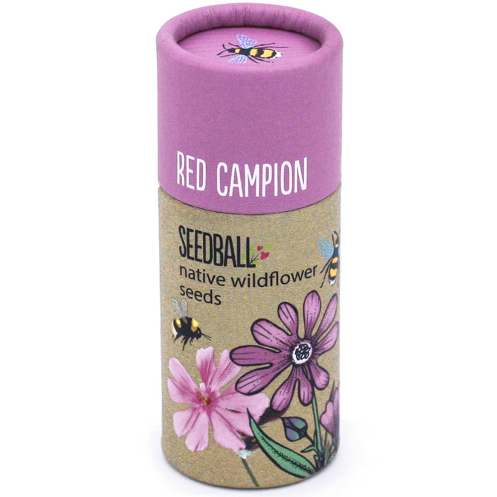 That's Crackers! Red Campion | Luxury Tube of 20 Seedballs | Cracker Filler | Little Gift