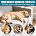 DKundZH 3 in 1 Pheromone Hund Kit Hunde Beruhigungsmittel Beruhigungsmittel Zur Reduktion Von äNgstlichem Verhalten Gewitter Feuerwerk Geschmacklos(1 Beruhigung Steckdose +2 Nachfüllflakon)