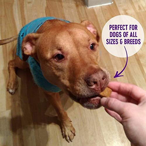 wellness crunchy wellbars