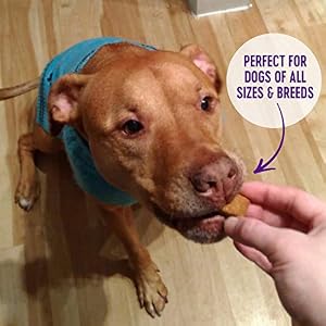Wellness WellBars Natural Grain Free Crunchy Dog Treats, Yogurt, Apples & Banana, 45-Ounce Bag Wellness WellBars Natural Grain Free Crunchy Dog Treats, Yogurt, Apples & Banana, 45-Ounce Bag