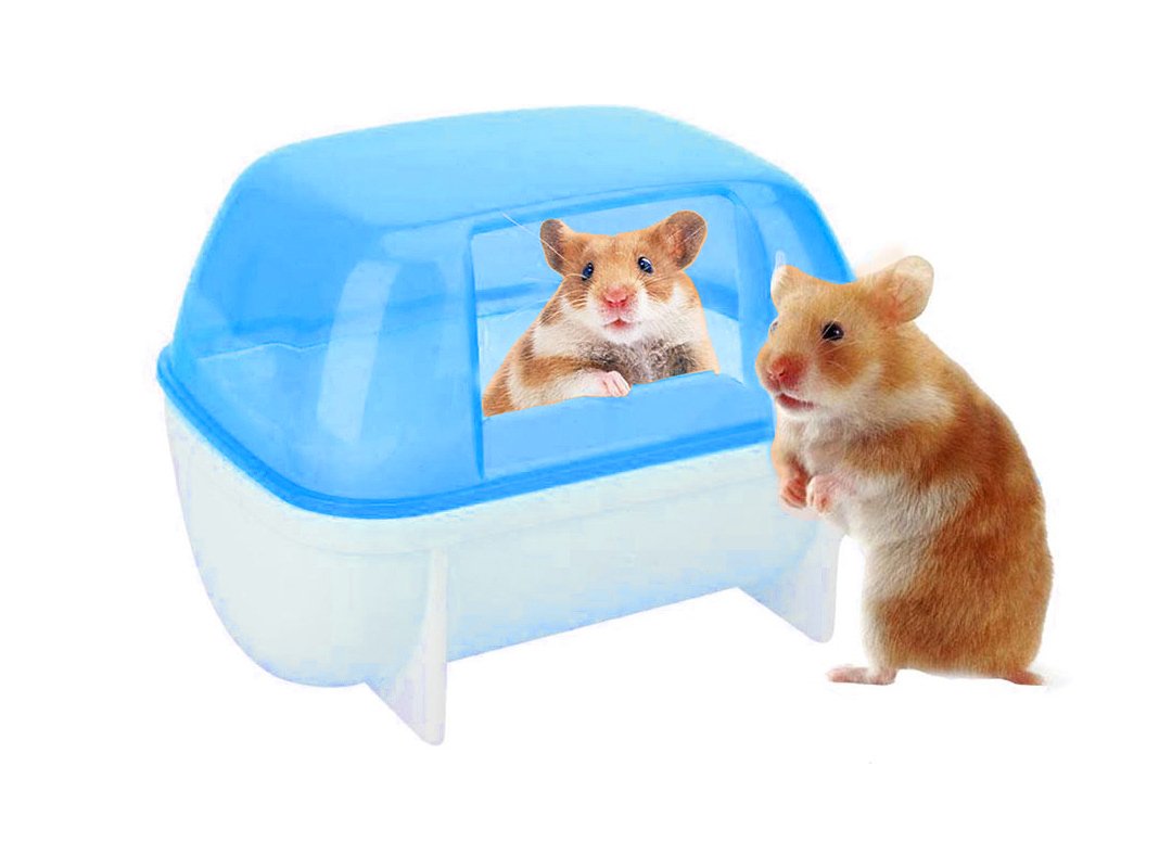 Sage Square Bath Sand Tub for Hamster, Dwarf, Gerbil, Chinchilla, Mice - Enhance Your Pets Hygiene in Style, Provide Your Pets with a Relaxing Bathing Area. (B07DMZXFJ5) Amazon Price History, Amazon Price Tracker
