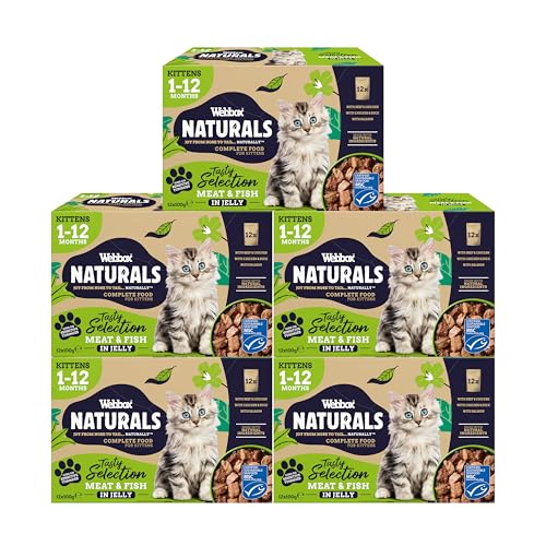 Webbox Naturals Complete Kitten (1-12 Months) Wet Cat Food, 60 x Meat & Fish in Jelly Variety Pack – Made with Natural Ingredients and No Nasties (60 x 100g Pouches)