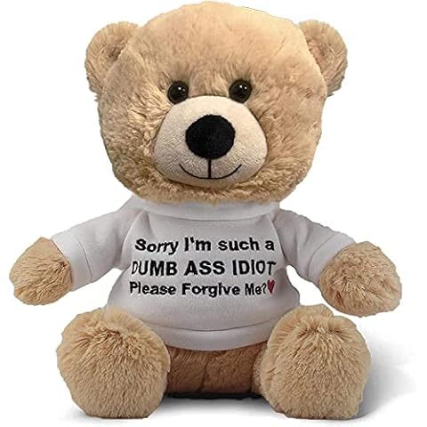Sorry I'm An Idiot" 10" Teddy Bear with Gift Bag - Cute Funny Apology Plush for Girlfriend, Boyfriend, Best Friend Cover