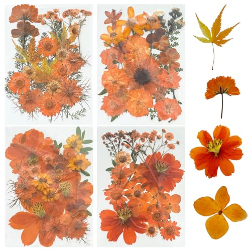 4 Pack Flores Secas Naturales para Resina y Manualidades miniatura 1