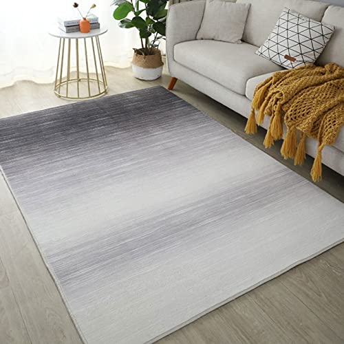 Alfombras Salón Grandes Lavables Alfombra Rayas Grises y Blancas Simples geométricas. Antideslizante Muy Suave para salón o Dormitorio 180 x180 cm Cover