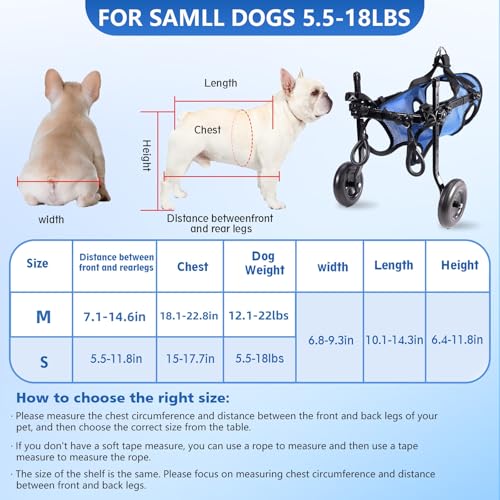 Hunderollstuhl für Hinterbeine, Unterstützt die Heilung, Hundewagen/Rollstuhl für Verletzte, Behinderte, Gelähmte oder an den Hinterbeinen Schwache Haustiere (Blau, M)