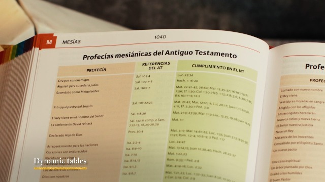 Image of Diccionario Biblico Ilustrado Holman | Holman Illustrated Bible Dictionary (Spanish Edition)