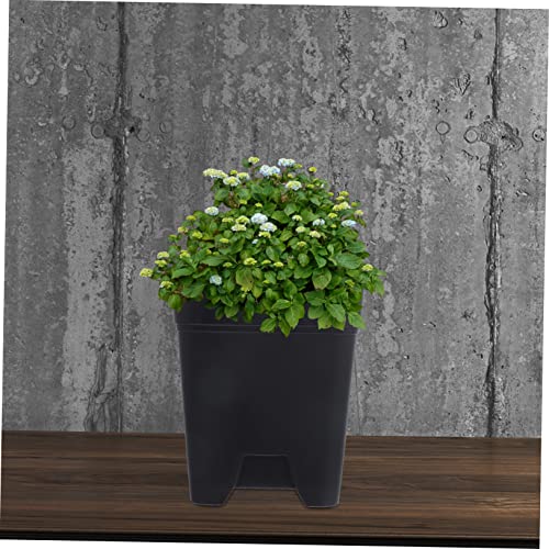 Pot de fleurs plastique drainant et bac de plantation robuste