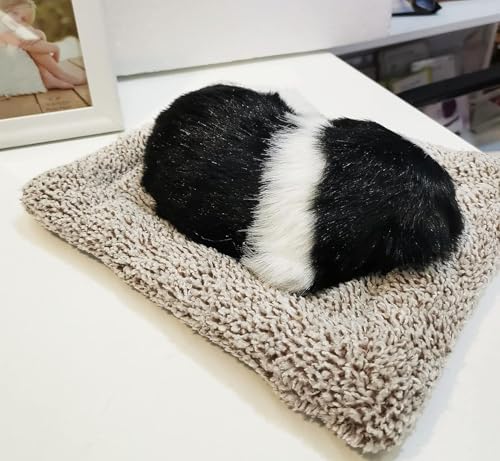 Image of ascension Sleeping Cute Dog for Car Dashboard and Home Decor with Activated Carbon for Decoration Toy Decorative Showpiece Car Accessories Interior Dashboard Decoration Good Gifts (Design 8)