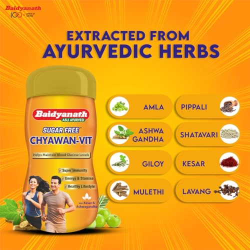 Image of Baidyanath Chyawan Vit (Sugarfree Chyawanprash) | Boosts Immunity | Enhances Strength & Stamina in Adults | Fit for Diabetic - 1kg
