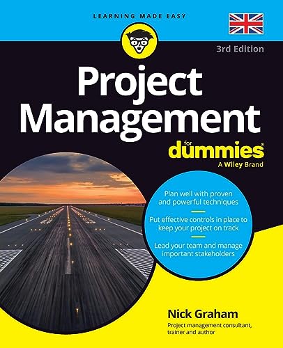 Project Management for Dummies view 2
