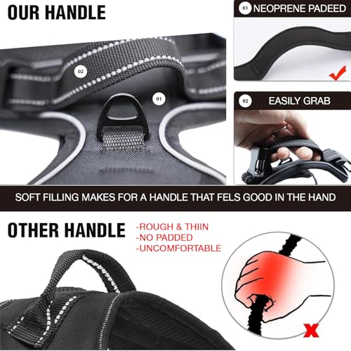 Image of Lyrovo Adjustable No-Pull Dog Harness with Leash Set for Small, Medium & Large Dogs - Reflective, Breathable, Comfortable Vest Harness for Training & Walking (Black, M (14-22Kg))