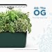 AeroGarden Harvest Lite in Green, Soil-Free Indoor Hydroponic Garden with LED Grow Light for Year-Round Gardening of up to 6 Herbs and Vegetables