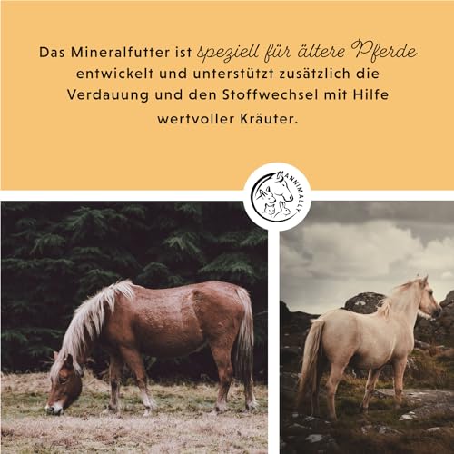 Annimally Senior Mineralfutter Pferde getreidefrei - Ergänzungs Pferdefutter für Senior Pferde mit Vitaminen, Mineralstoffen und Spurenelementen, wie Zink, Selen, Omega 3 & Jod (3 kg Eimer)
