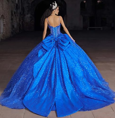 Ball Gown Modern Quinceanera Dress Formal Dress Spaghetti Straps Sleeveless Floor-Length with Appliques 20253