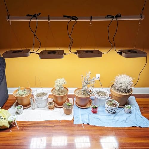 VIPARSPECTRA Reflector 300W LED Grow Light LED Pflanzenlampe Full Spectrum wachsen für Zimmerpflanzen Gemüse und Blumen 2 VIPARSPECTRA Reflector 300W LED Grow Light LED Pflanzenlampe Full Spectrum wachsen für Zimmerpflanzen Gemüse und Blumen – Bild 2