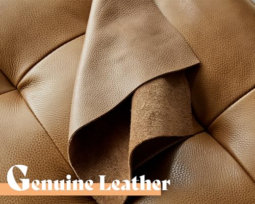 AMERLIFE Mid-Century Genuine Leather Couch