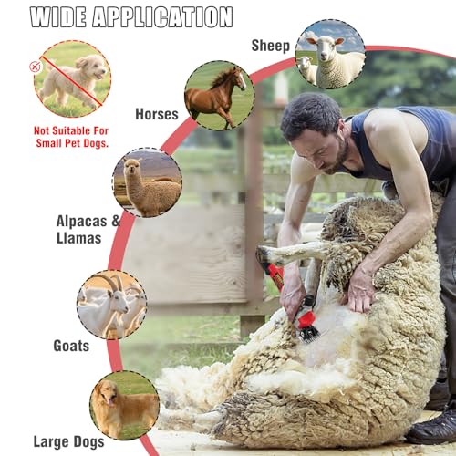 image for PAT JUUMG 1000W Sheep Shears Electric Farm Livestock Haircut with Blad