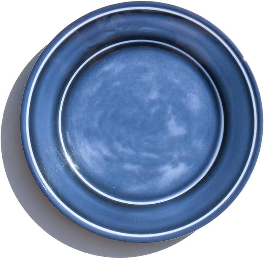 Amazon.com: Abode Homewares Madison 10.5'' Dinner Plate Durable