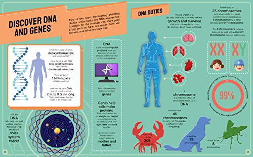 Infographic Human Body: Incredible Facts, Visually Presented: 1
