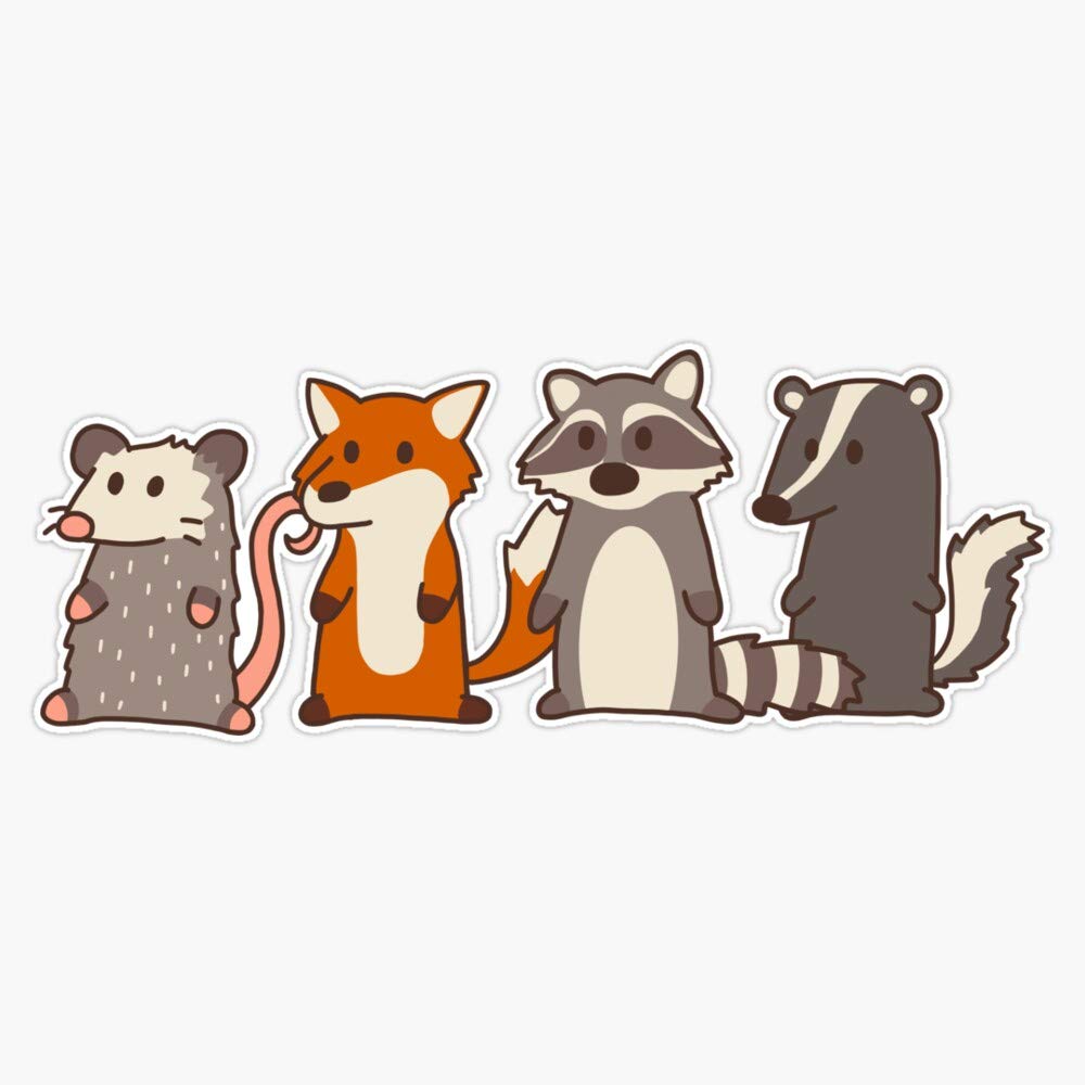 Fox, Raccoon, Opossum & Skunk Woodland Friends #3 Sticker Decal Vinyl Bumper Sticker Decal Waterproof 5"
