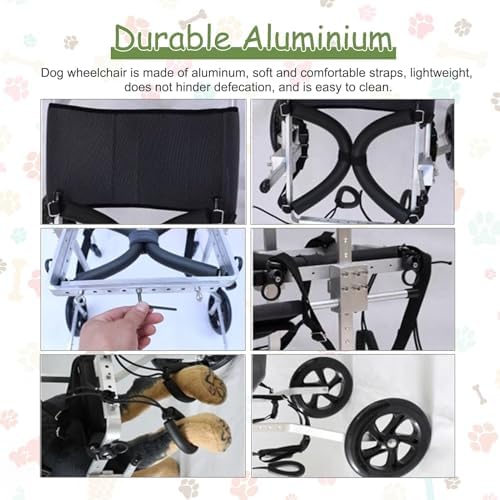 Medium Large Dog Wheelchair for Back Legs - 2 Wheels Pet Trolley for Arthritis, Aging, Injured Dogs - Supportive XXL Mobility Aid for Hind Limb Disabilities