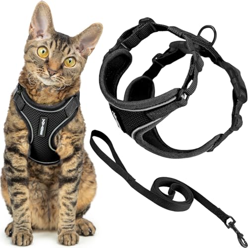 Image of Voyager Escape-Proof Step-in Lock Cat Harness & 5ft Neoprene-Handle Leash Set All-Weather Mesh with Reflective Stitching for Small to Large Cats by Best Pet Supplies, Black (327), XS