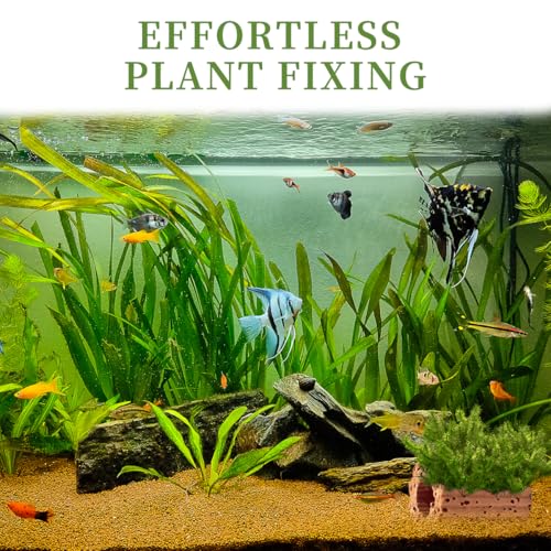 Image of 12 PCS New Upgrade Aquarium Plant Weight,Aquarium Plant Holder Aquatic Plants Ceramic Fixing Ring Anti-Floating Ceramic Aquariums Plants Ring Aquariums Landscape Decorative Accessories